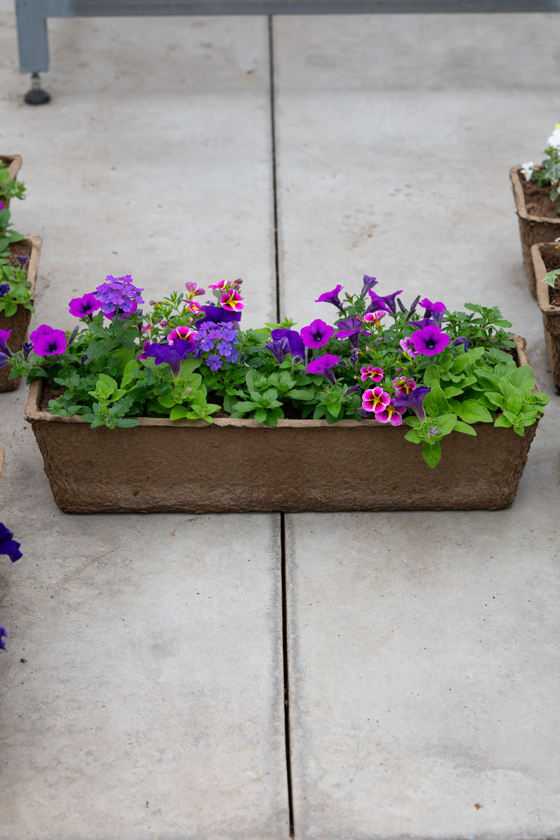 24" Premium Sun Fibre Window Box – Purple Dream Mix