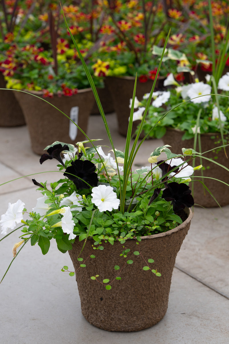 12" Premium Sun Fibre Urn Liner – Black & White Elegance Mix