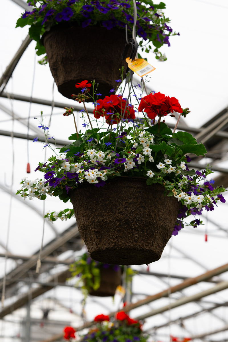 12" Fibre Premium Mixed Sun Hanging Basket – Patriotic Charm Mix
