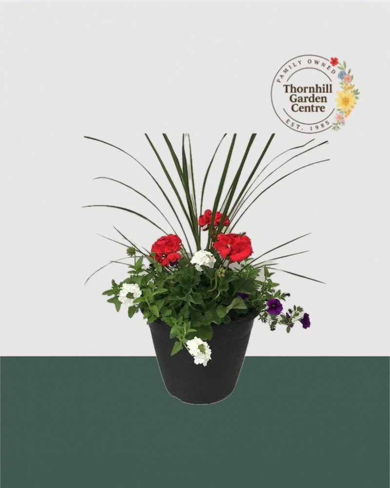 13" Round Premium Sun Mixed Planter – Red, White & Plum