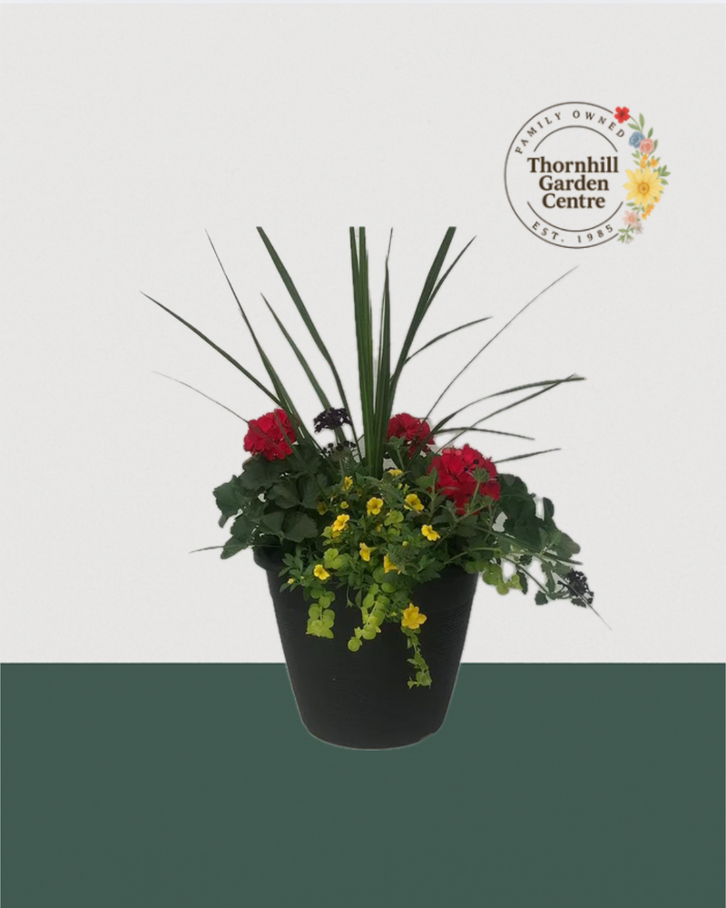 13" Round Premium Sun Mixed Planter – Crimson & Sunshine Mix