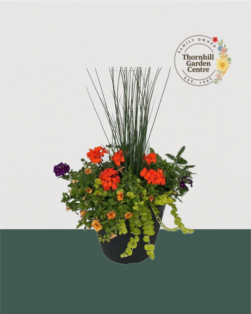 13" Round Premium Sun Mixed Planter – Tangerine Blaze
