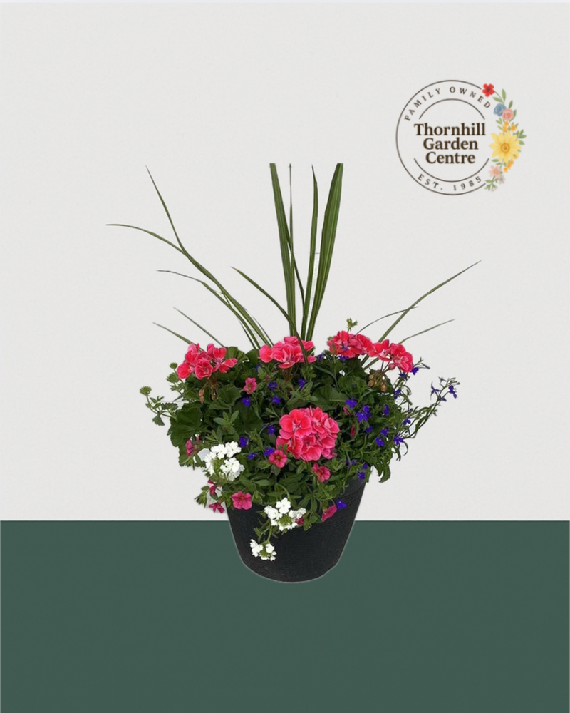 13" Round Premium Sun Mixed Planter – Strawberry, Sapphire & Snow