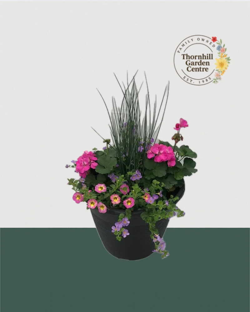 13" Round Premium Sun Mixed Planter – Bubblegum & Lemon Splash