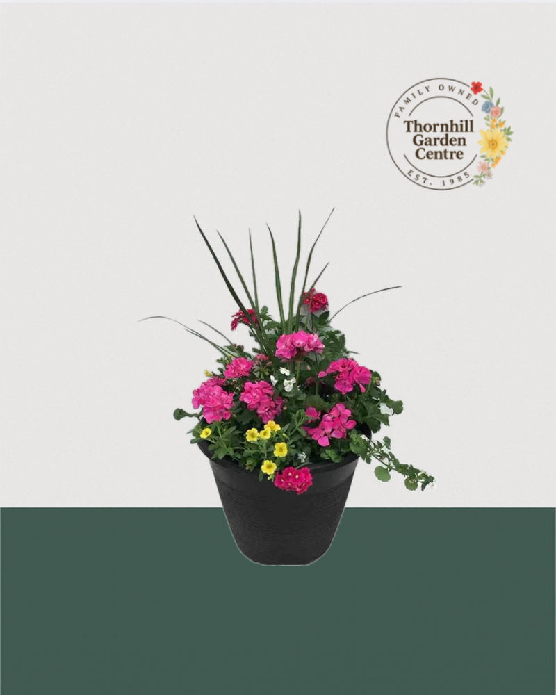 13" Round Premium Sun Mixed Planter – Hot Pink & Lemon Zest