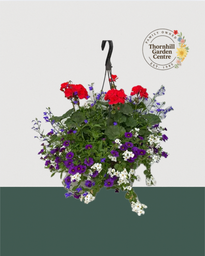 12" Fibre Premium Sun Hanging Basket - Royal Radiance Mix