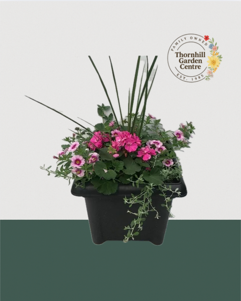 14" Square Premium Mixed Sun Planter - Pink Petal Beauty