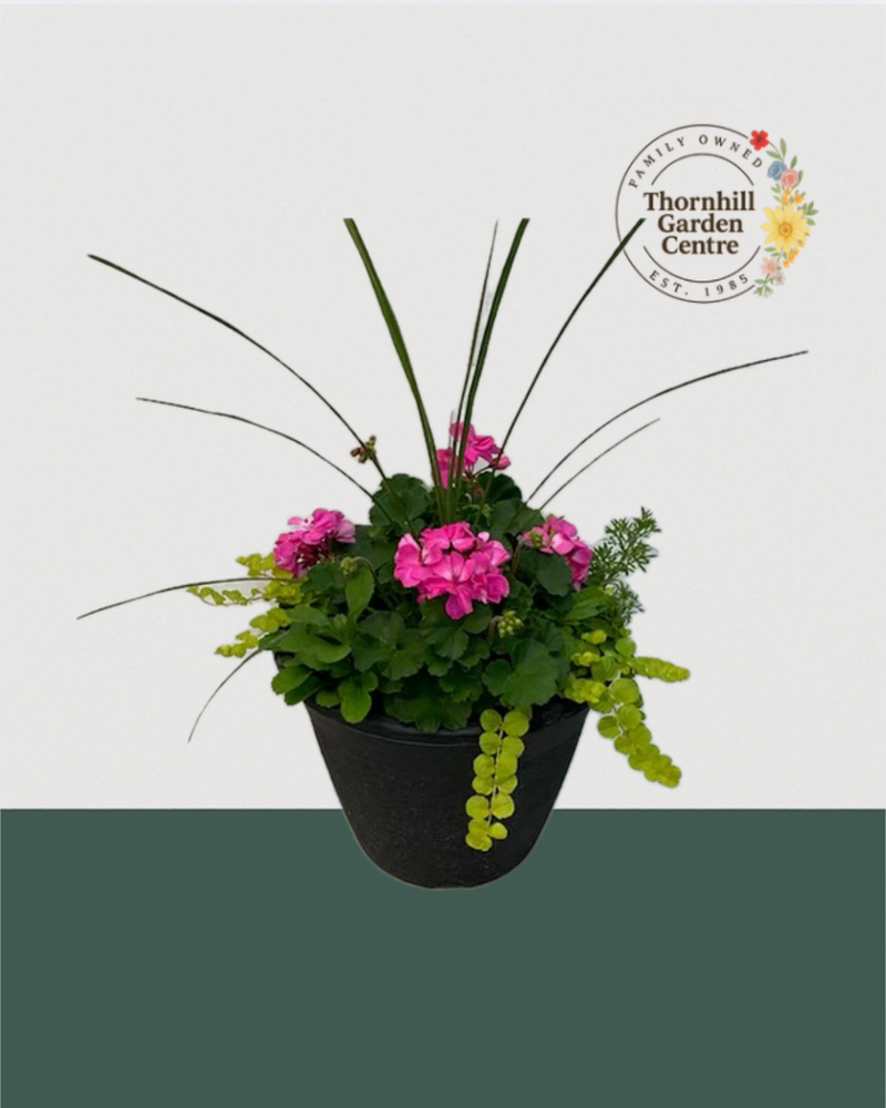 13" Round Premium Mixed Sun Planter - Bright Pink & Chartreuse