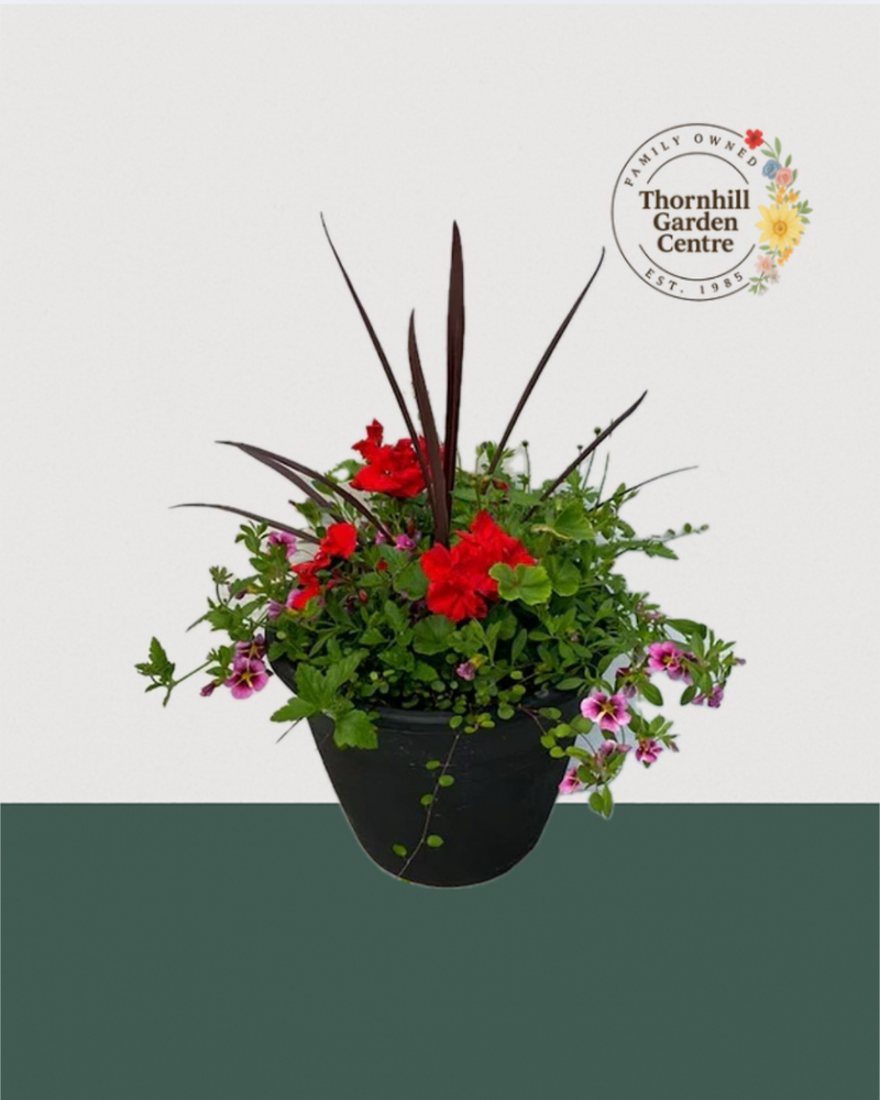 13" Round Premium Mixed Sun Planter - Red & Burgundy