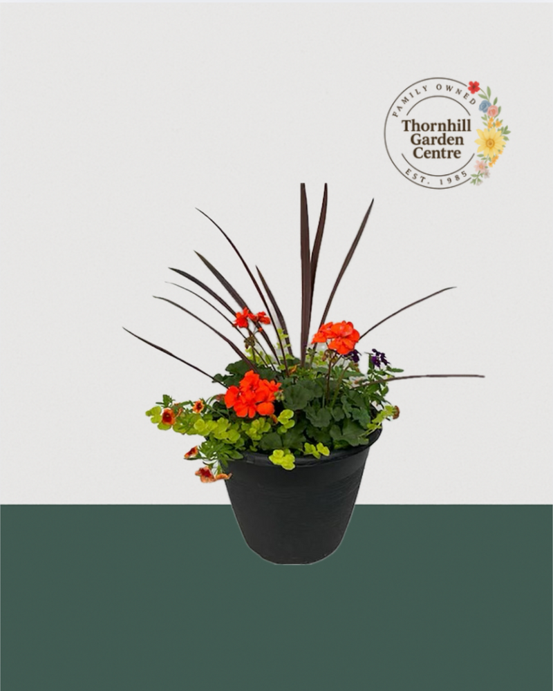 13" Round Premium Sun Mixed Planter – Ember Glow