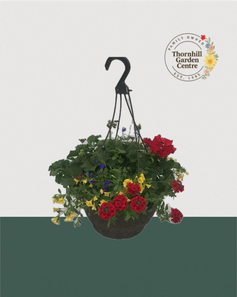 12" Fibre Premium Mixed Sun Hanging Basket - Sunshine Fiesta