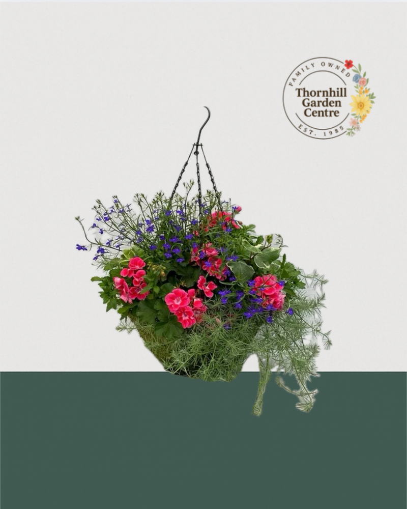 16" Moss Premium Mixed Sun Hanging Basket - Coral Sky