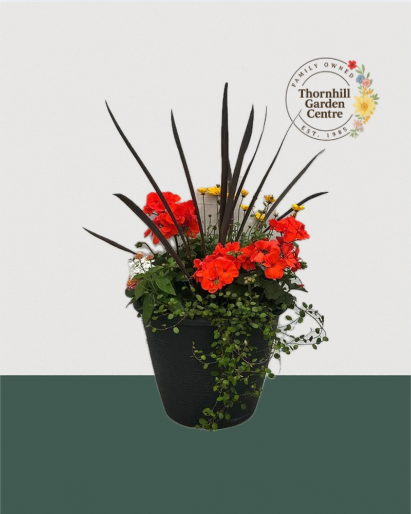 13" Round Premium Sun Mixed Planter – Tropical Inferno