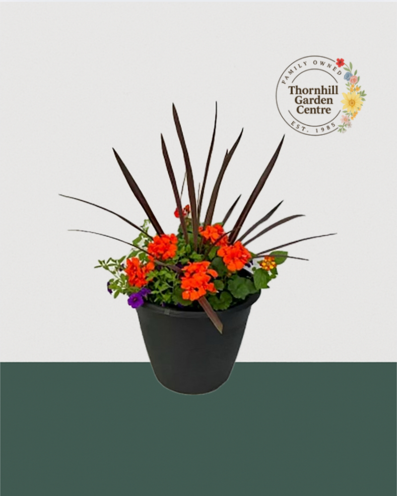 13" Round Premium Sun Mixed Planter – Tangerine Twist