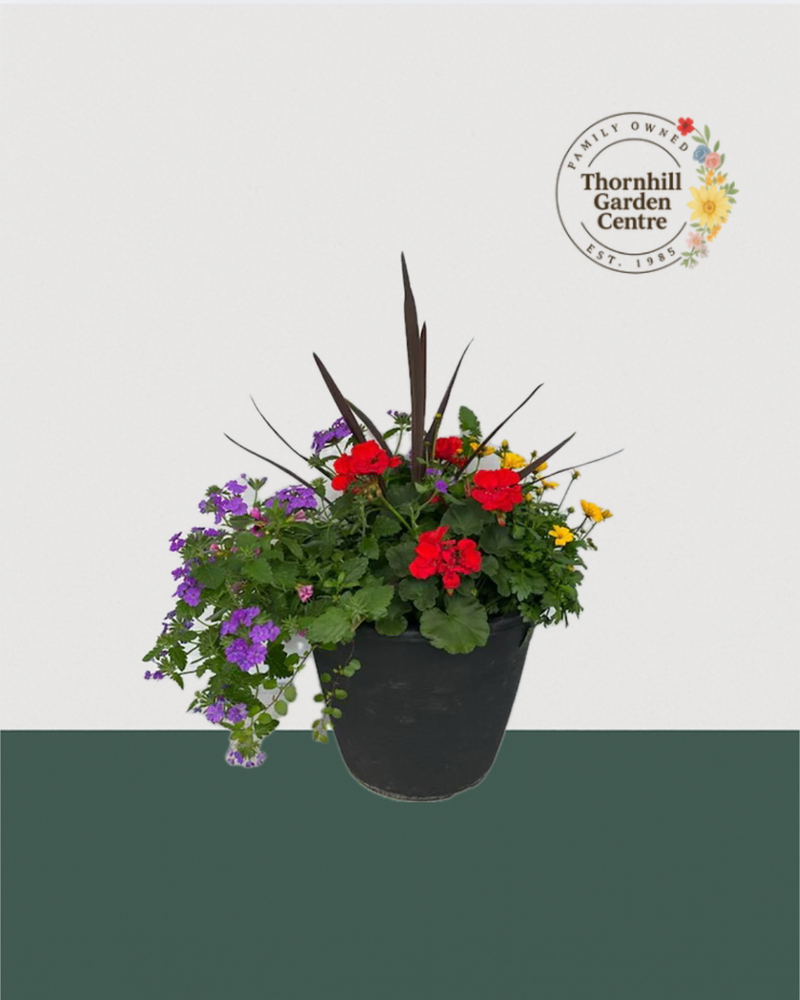 13" Round Premium Sun Mixed Planter – Sunset Splash