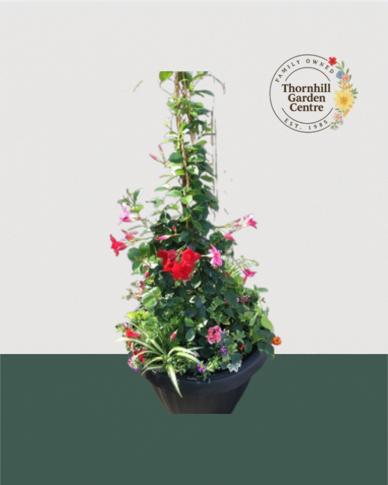 24 Inch Extra Large ONDA Planter