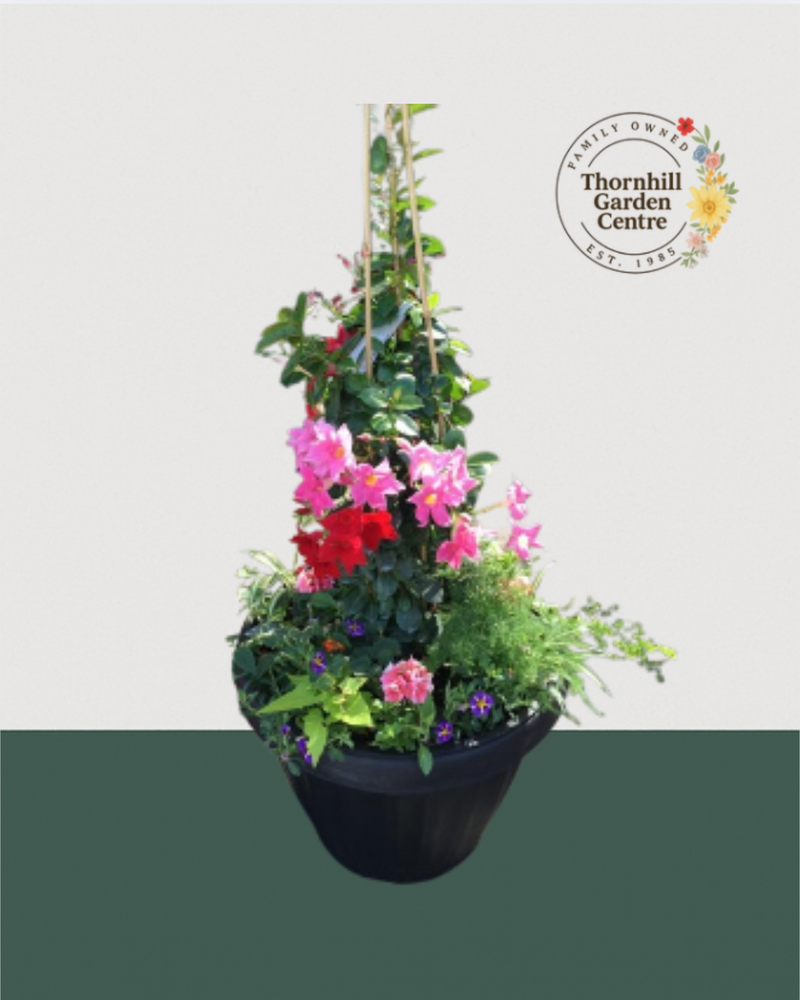 24 Inch Extra Large ONDA Planter