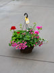 12" Premium Fibre Mixed Sun Hanging Basket – Blushing Radiance Mix