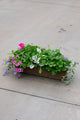 24" Premium Fibre Sun Window Box – Lavender Breeze Mix