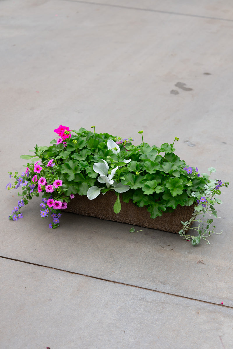 24" Premium Fibre Sun Window Box – Lavender Breeze Mix