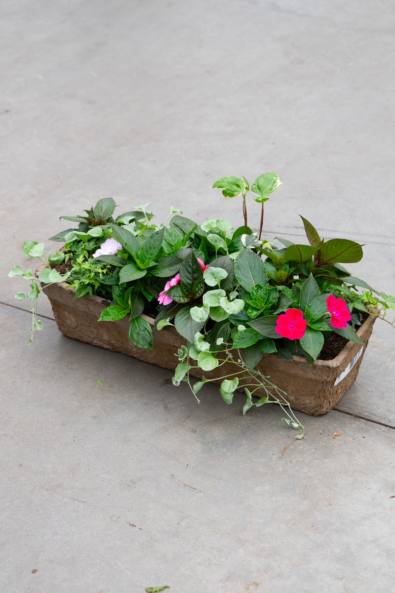 24" Premium Shade Fibre Window Box – Shaded Serenity Mix