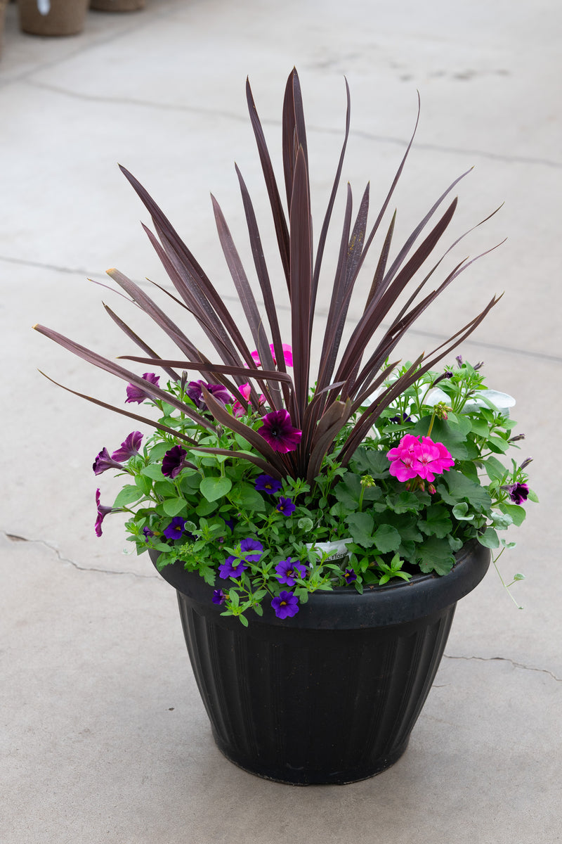 18" Round Premium Mixed Sun Planter – Plum Radiance Mix