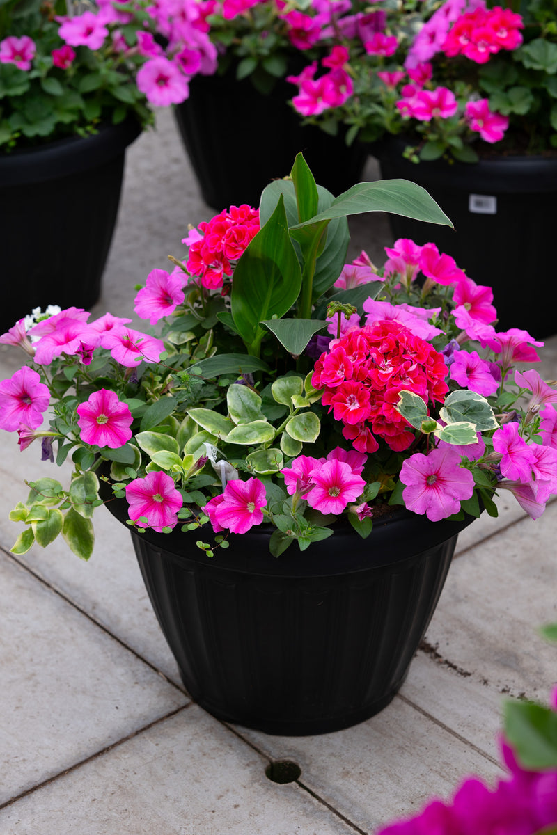 18" Round Premium Mixed Sun Planter – Pink Tropic Mix