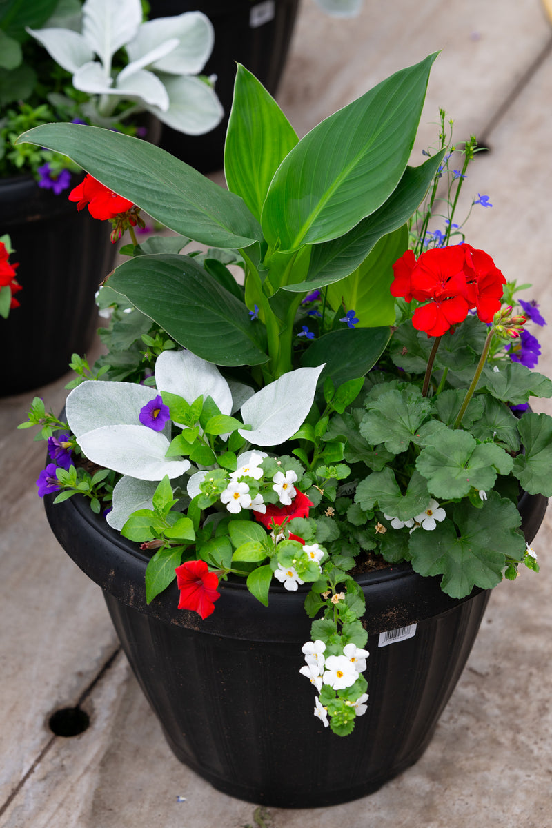 18" Round Premium Mixed Sun Planter – Patriotic Tropic Mix