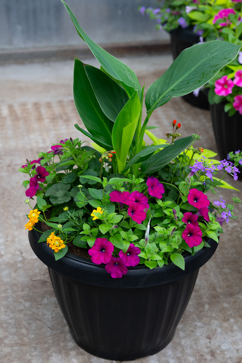 18" Round Premium Mixed Sun Planter – Magenta Glow Mix