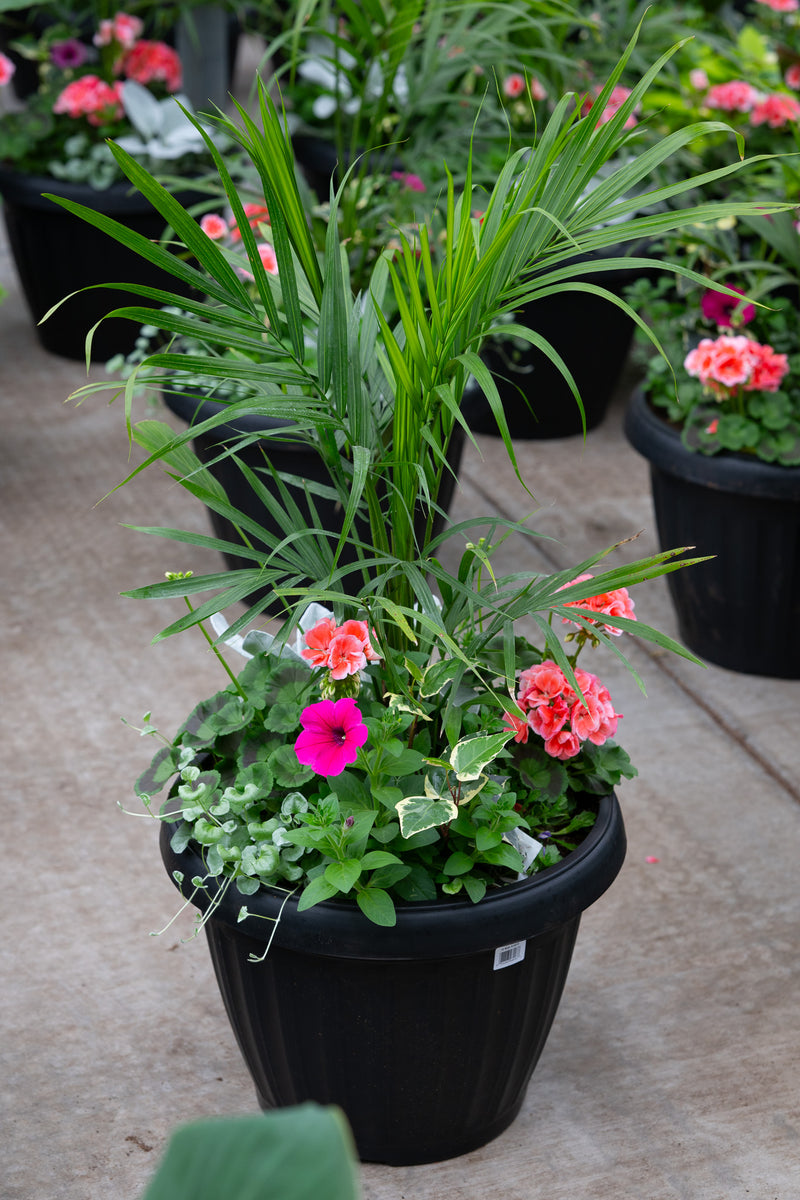 18" Round Premium Mixed Sun Planter – Palm Paradise Mix