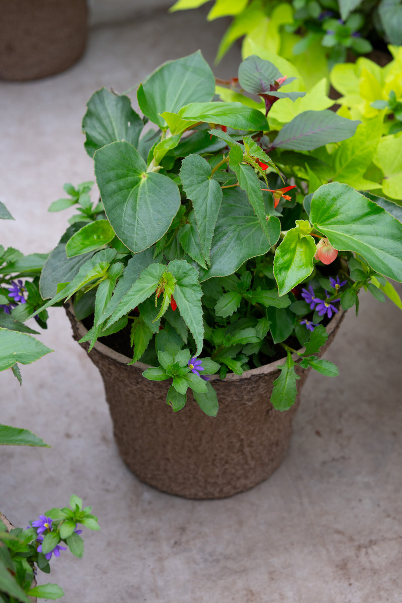 12" Premium Fibre Shade Urn Liner – Woodland Jewel Mix