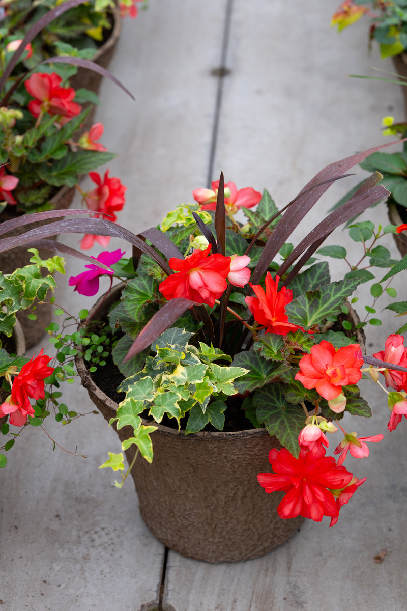 12" Premium Fibre Shade Urn Liner – Crimson Cascade Mix