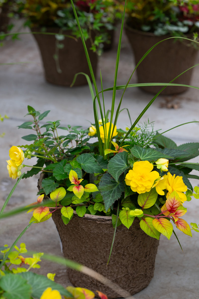 12" Premium Fibre Shade Urn Liner – Golden Glow Mix