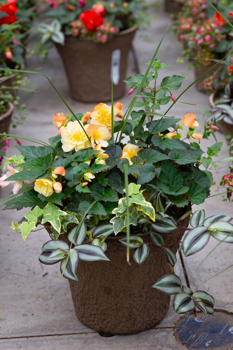 12" Premium Fibre Shade Urn Liner – Peach Sorbet Mix