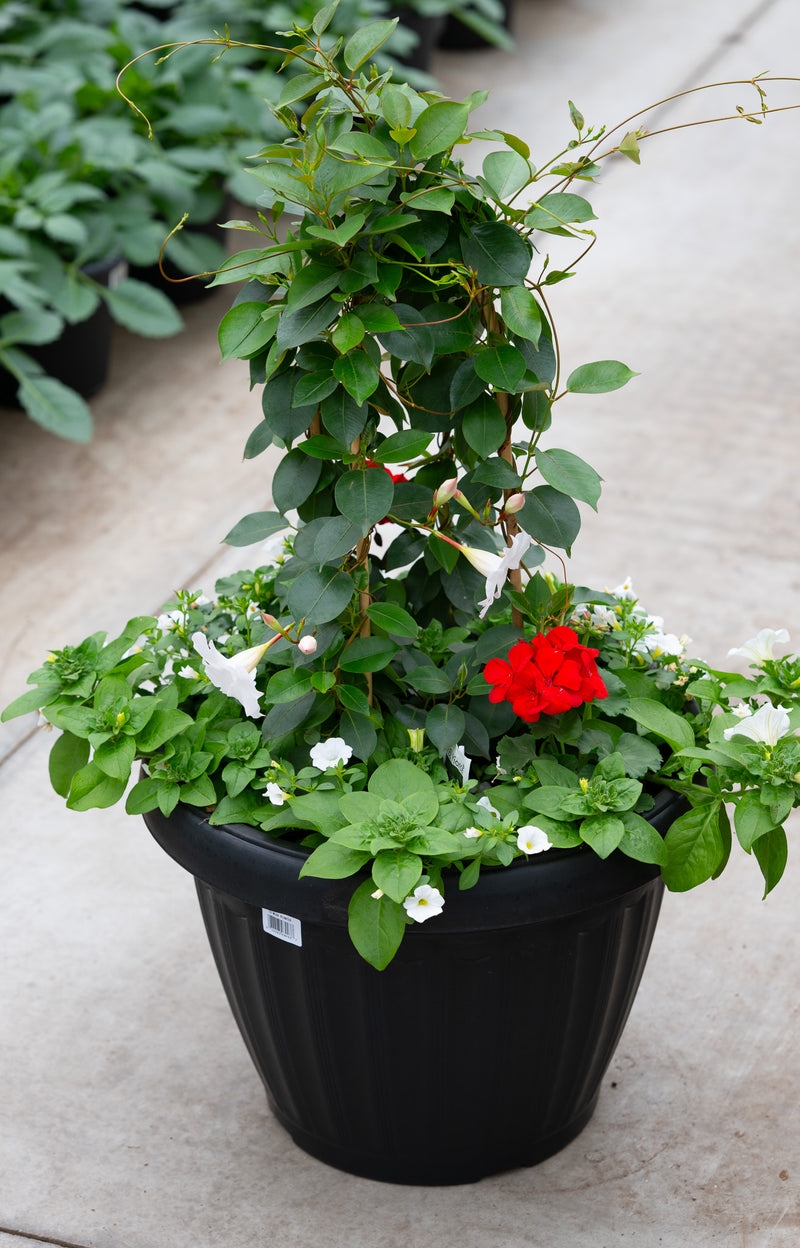 18" Mega Premium Tropic Centre Piece Sun Planter – Red & White Tower Mix