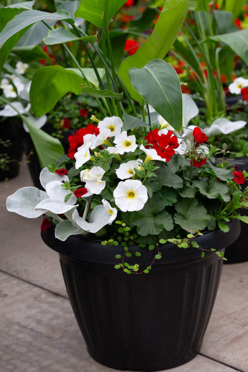 18" Mega Premium Sun Planter – Patriotic Charm Mix