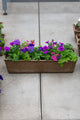 24" Premium Sun Fibre Window Box – Purple Dream Mix