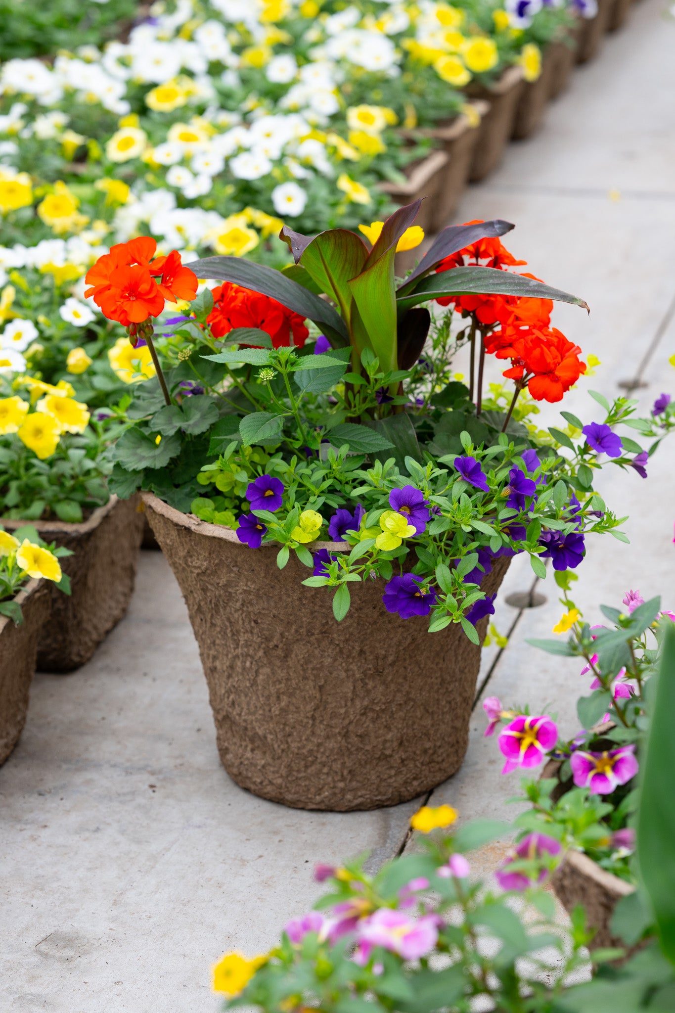 12" Premium Sun Fibre Urn Liner – Tropical Firecracker Mix