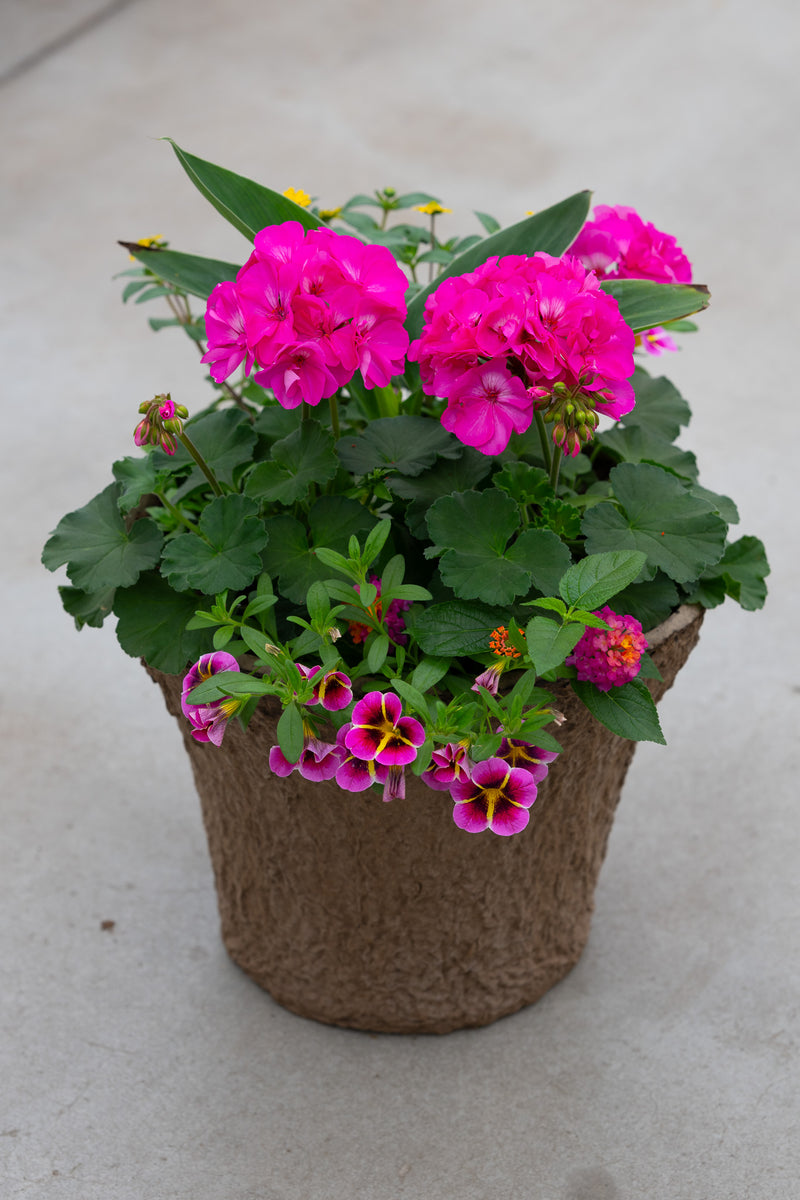 12" Premium Sun Fibre Urn Liner – Hot Pink Splash Mix