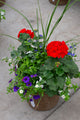 12" Premium Sun Fibre Urn Liner – Red Velvet Surprise Mix