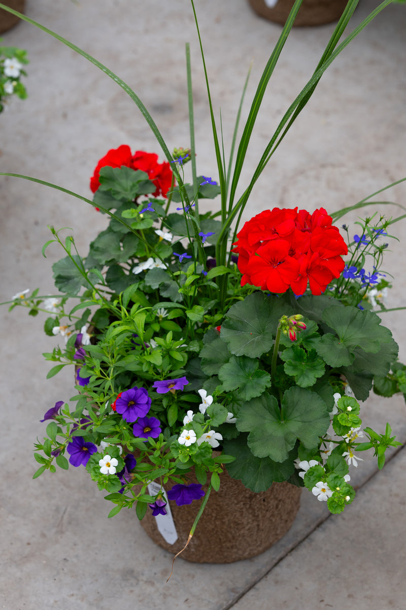 12" Premium Sun Fibre Urn Liner – Red Velvet Surprise Mix