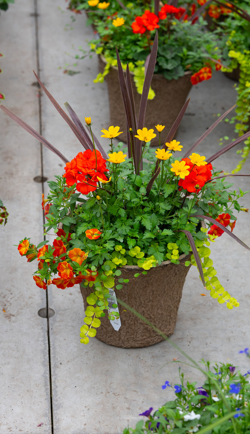 12" Premium Sun Fibre Urn Liner – Citrus Spark Mix