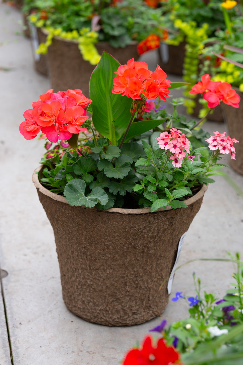 12" Premium Sun Fibre Urn Liner – Sunset Coral Mix