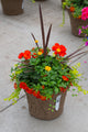 12" Premium Sun Fibre Urn Liner – Firecracker Blaze Mix