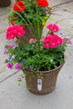 12" Premium Sun Fibre Urn Liner – Pink Paradise Mix
