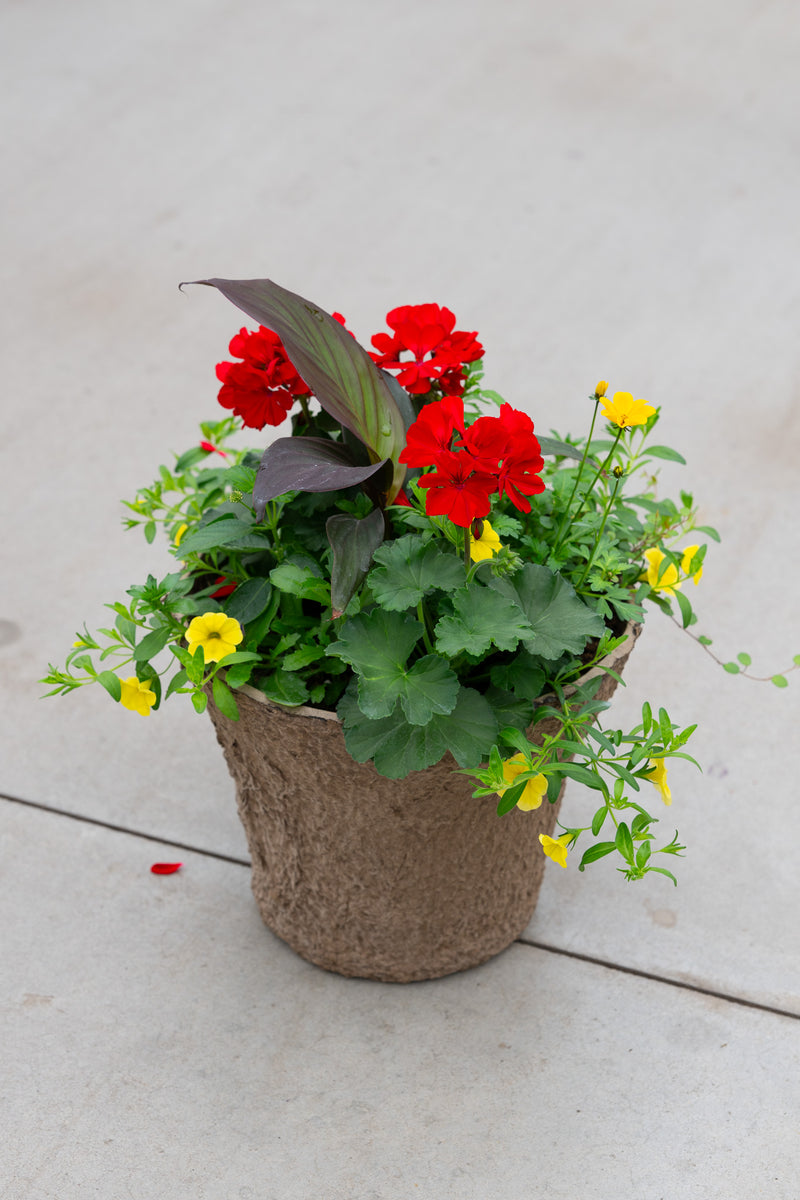 12" Premium Sun Fibre Urn Liner – Red & Gold Spark Mix