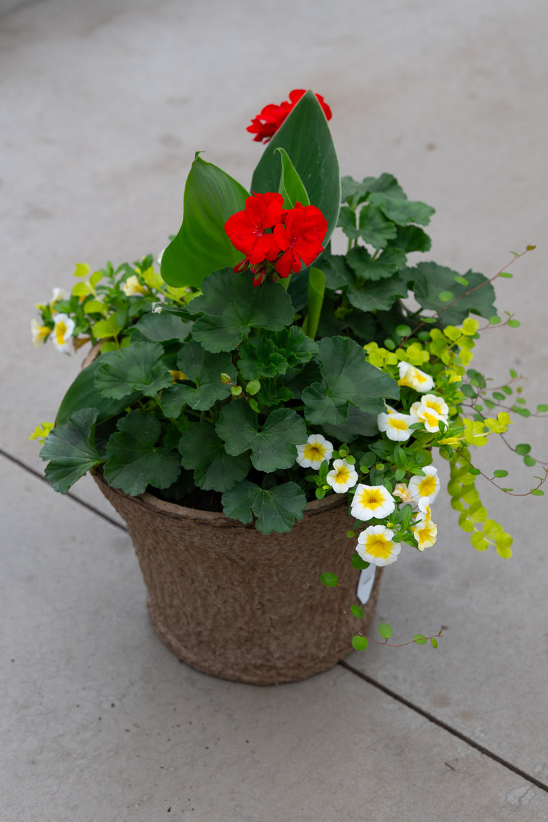 12" Premium Sun Fibre Urn Liner – Scarlet & Lemon Glow Mix