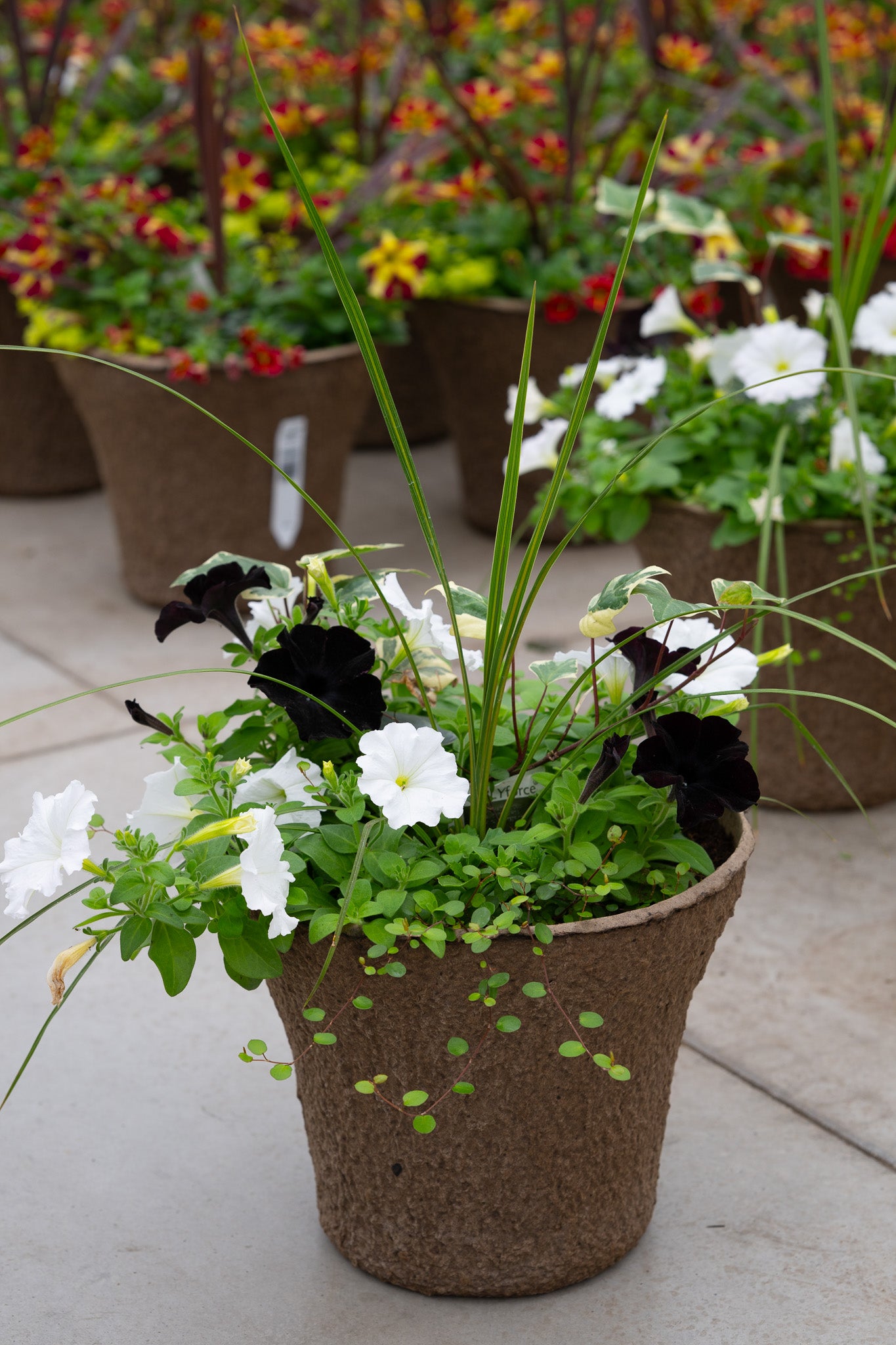 12" Premium Sun Fibre Urn Liner – Black & White Elegance Mix