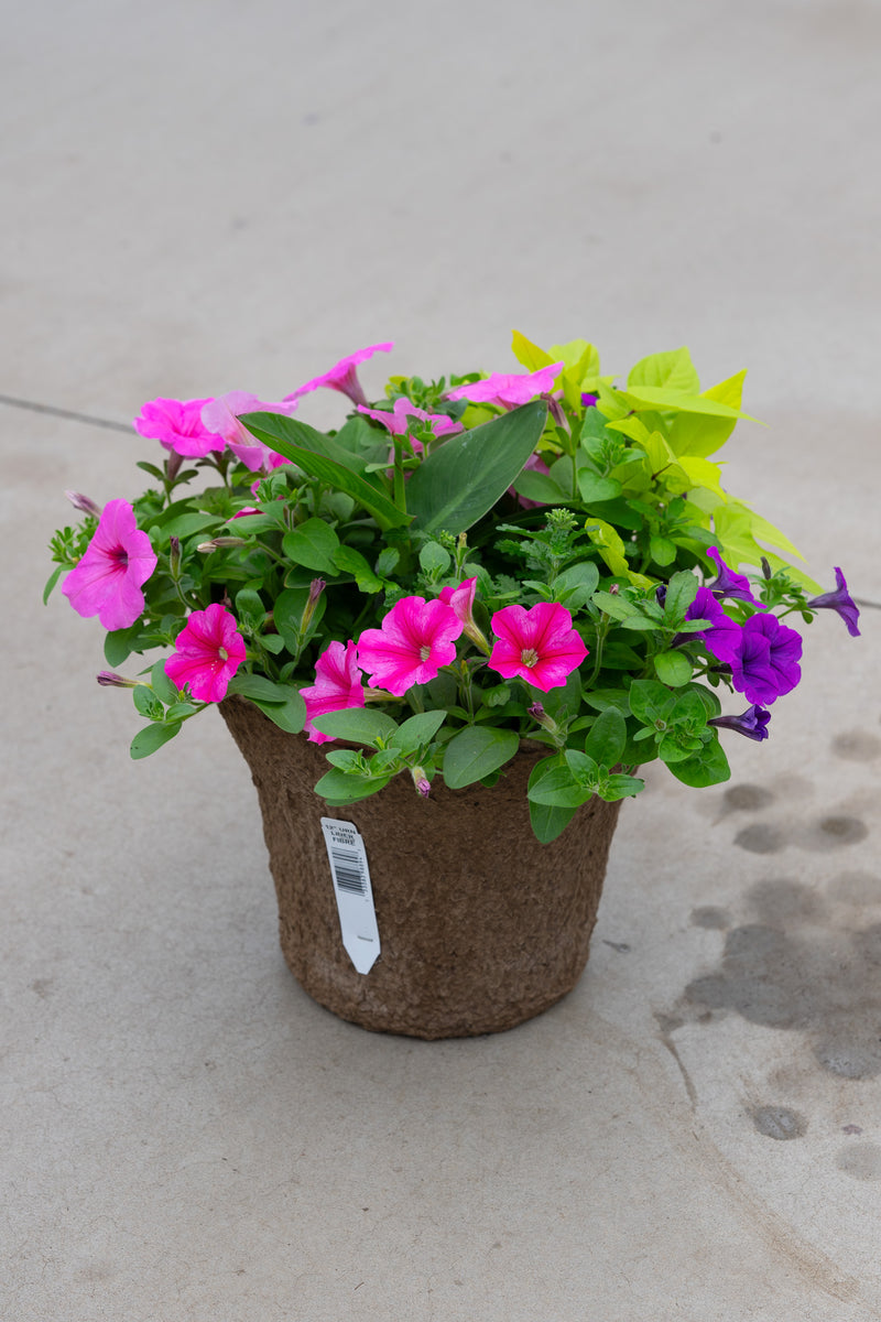 12" Premium Sun Fibre Urn Liner – Tropical Sunset Mix