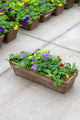 24" Premium Fibre Window Box — Summer Symphony Mix